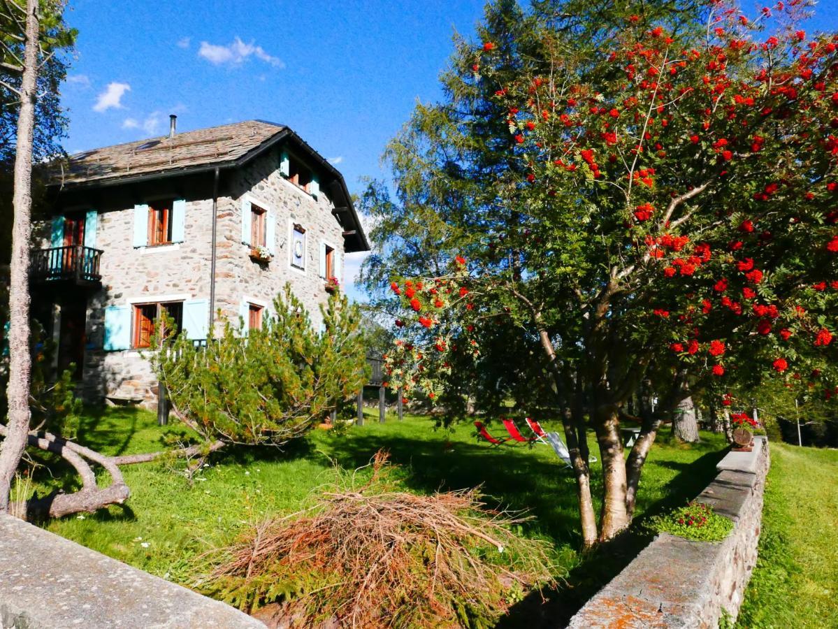 Il Cortese Chiareggio Экстерьер фото