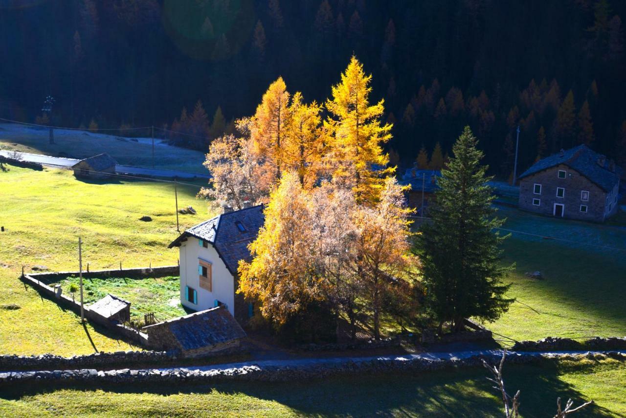 Il Cortese Chiareggio Экстерьер фото