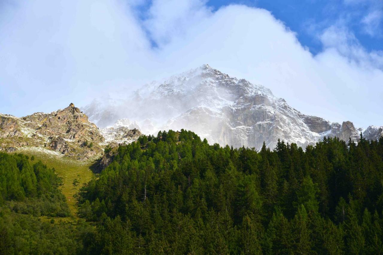 Il Cortese Chiareggio Экстерьер фото