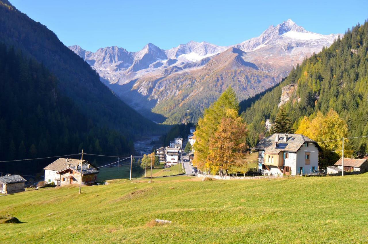 Il Cortese Chiareggio Экстерьер фото